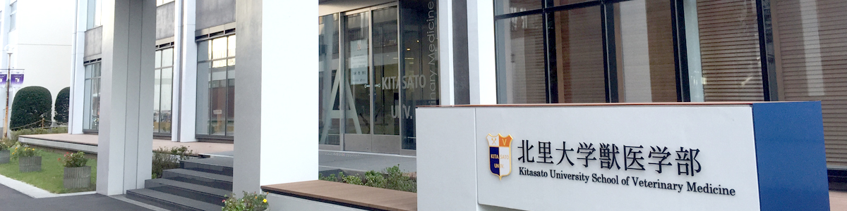 事務局 – 北里大学獣医学部 獣医学科 中国四大学研修 事務局 – 北里大学獣医学部 獣医学科 中国四大学研修