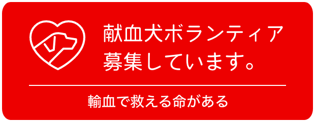 献血犬ボランティア募集しています。献血で救える命がある