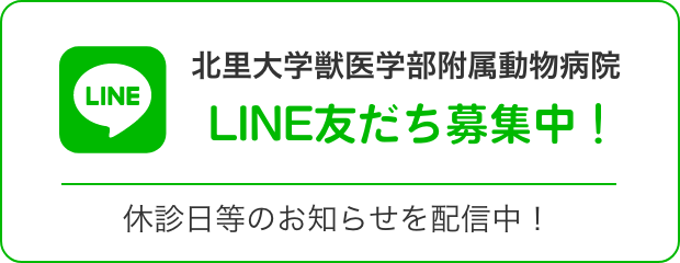 北里大学獣医学部付属動物病院　LINE友達募集中！　休診日等のお知らせを配信中！