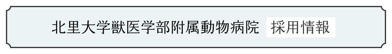 北里大学獣医学部付属動物病院採用情報