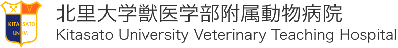 北里大学獣医学部付属動物病院 Kitasato University Veterinary Teaching Hospital