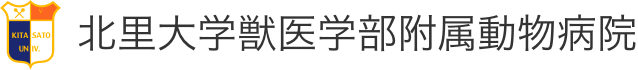 北里大学獣医学部付属動物病院 Kitasato University Veterinary Teaching Hospital