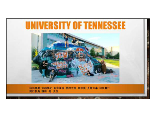 TennesseeUniversity