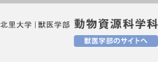 獣医学部のサイトへ
