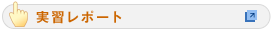 実習レポート