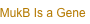 shapeimage_3_link_0