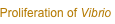 shapeimage_3_link_2