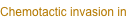 shapeimage_7_link_0