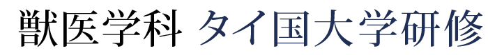 獣医学科米国2大学研修