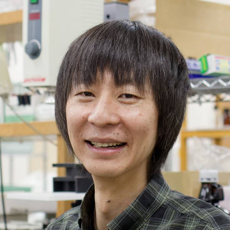 Yasunaga YOSHIKAWA