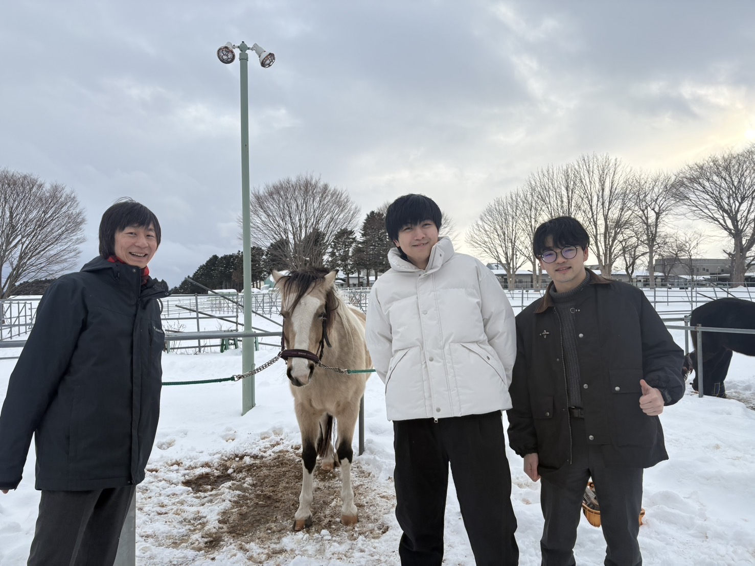 雪の積もる十和田キャンパスで馬と過ごす研究室メンバー