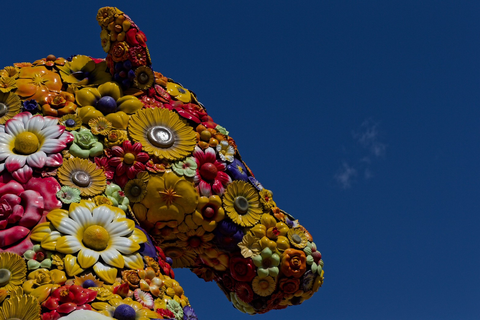 青空を背景にした十和田市現代美術館の色鮮やかな花のアート作品