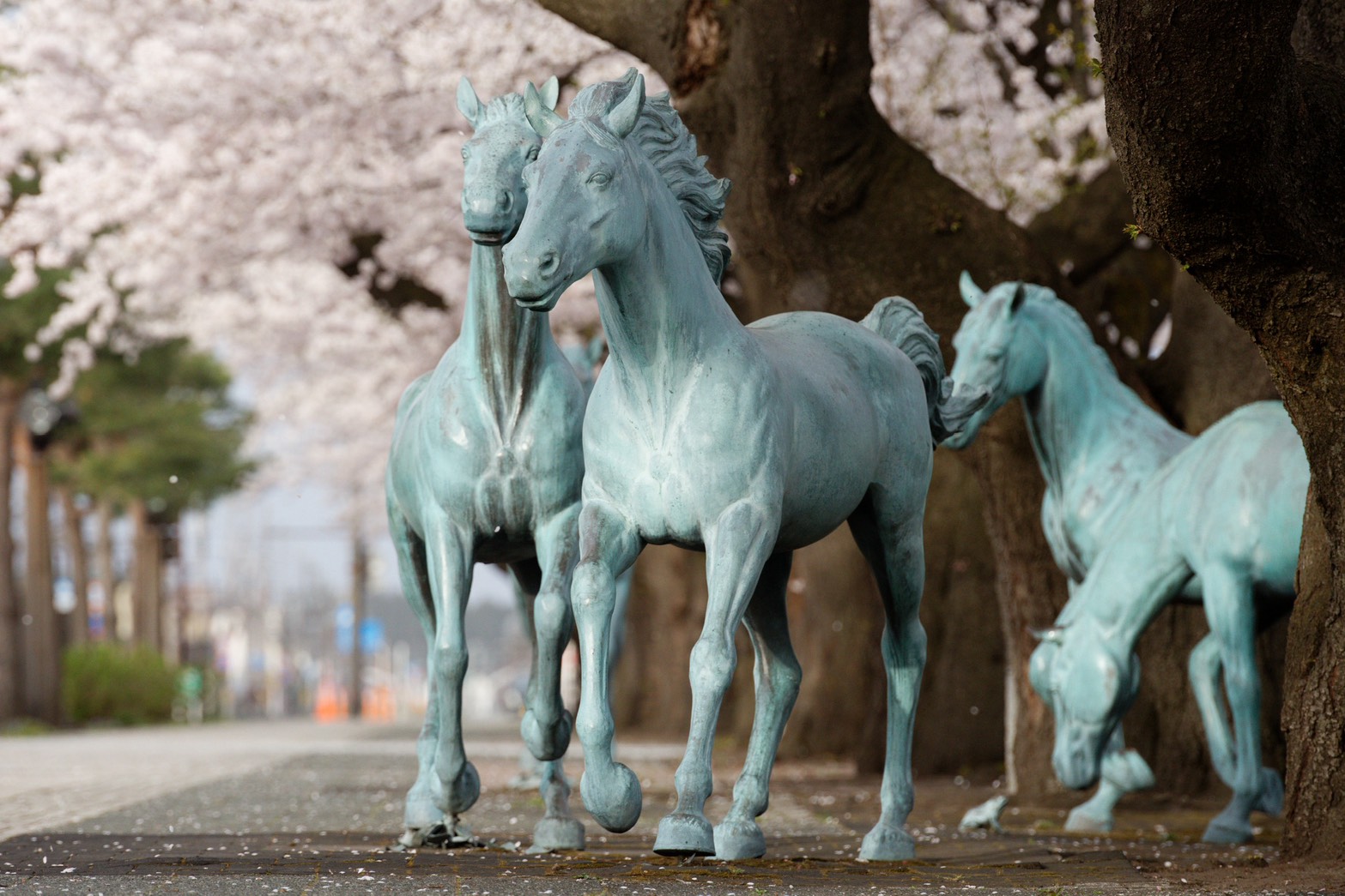 桜の下に並ぶ官庁街通りの馬の彫刻