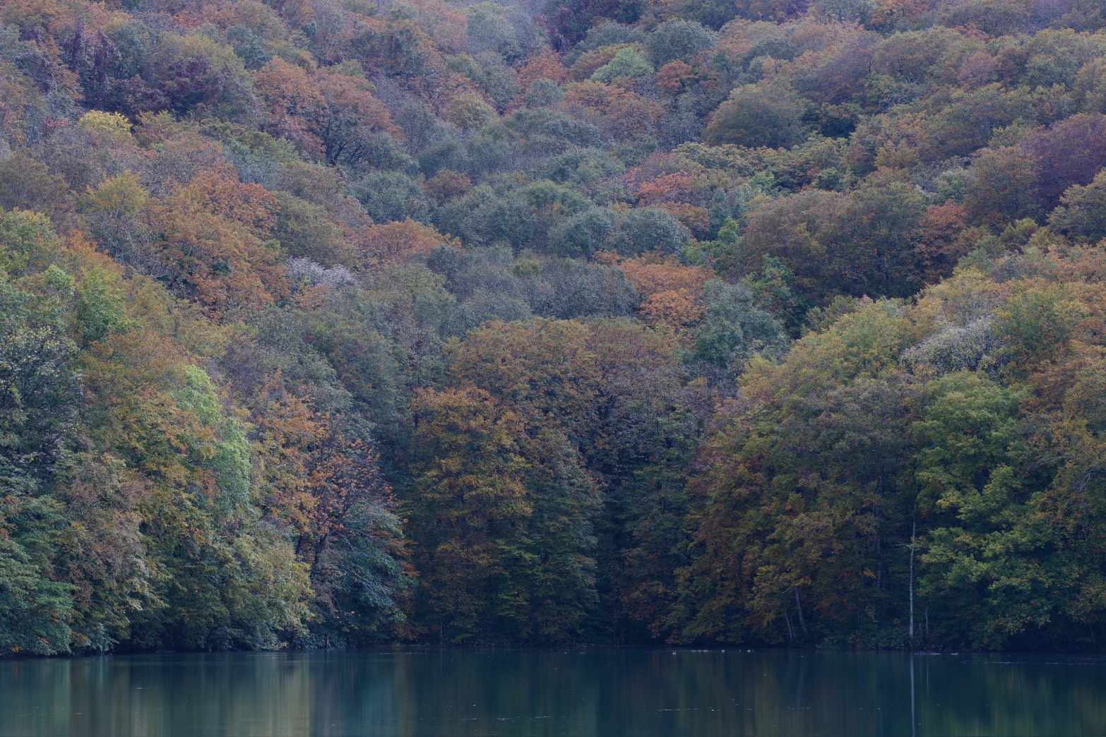 紅葉に包まれた静かな湖面
